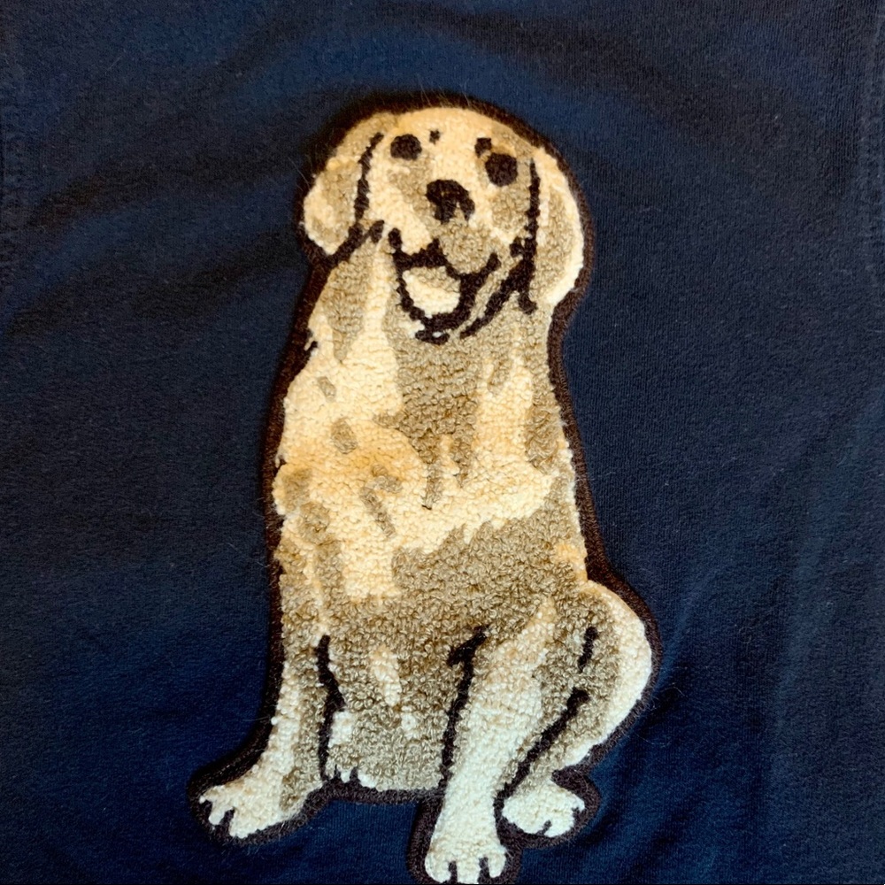 🔥 2/10 LAST CHANCE Gymboree boys appliqué dog short sleeve 7 - Picture 2 of 3